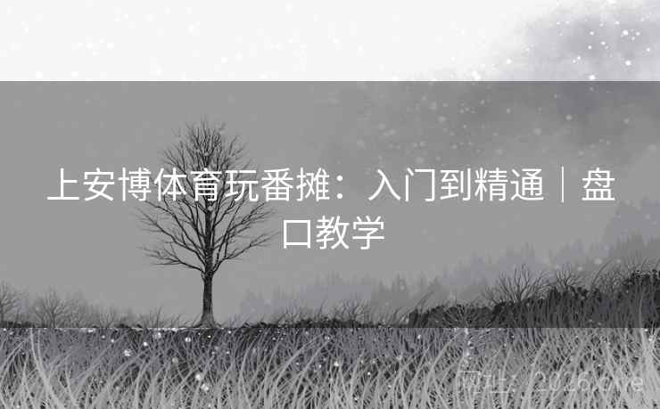 上安博体育玩番摊：入门到精通｜盘口教学