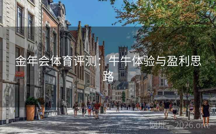 金年会体育评测：牛牛体验与盈利思路
