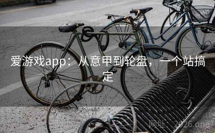 爱游戏app：从意甲到轮盘，一个站搞定