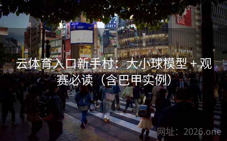 云体育入口新手村：大小球模型 + 观赛必读（含巴甲实例）