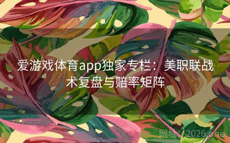 爱游戏体育app独家专栏：美职联战术复盘与赔率矩阵