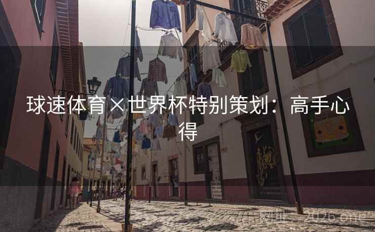 球速体育×世界杯特别策划：高手心得