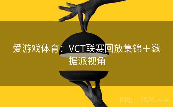 爱游戏体育：VCT联赛回放集锦＋数据派视角
