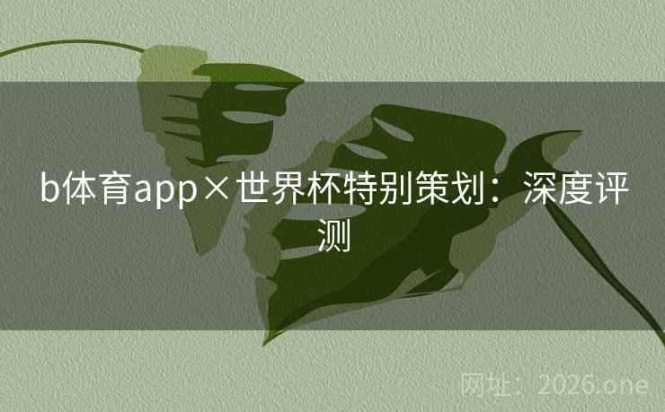 b体育app×世界杯特别策划：深度评测
