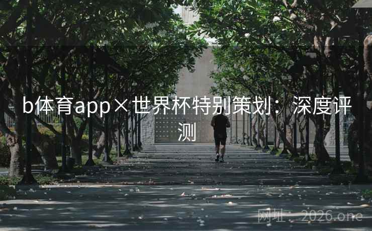 b体育app×世界杯特别策划：深度评测