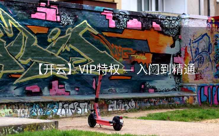 【开云】VIP特权 — 入门到精通