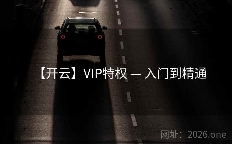 【开云】VIP特权 — 入门到精通