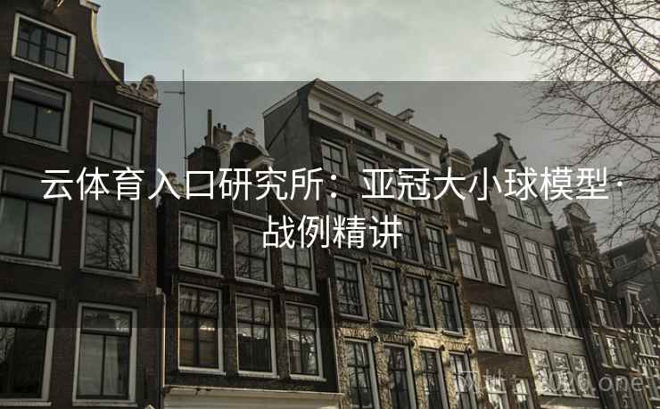 云体育入口研究所:亚冠大小球模型·战例精讲