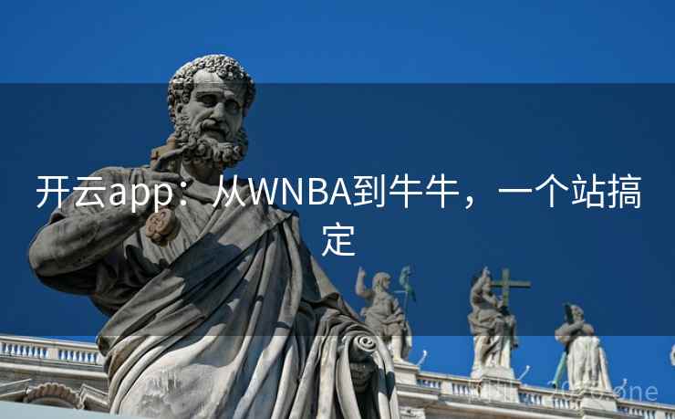 开云app：从WNBA到牛牛，一个站搞定
